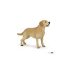 Lot Vert - Lot de 5 Figurines - Chiens de collection - Papouille