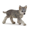 Famille de loup 10 mois et plus - Papouille