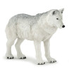 Famille de loup 10 mois et plus - Papouille