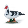 Figurine  Canard de Barbarie 10 mois et plus - Papouille