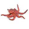 4 Figurines les Animaux Marins 10 mois et plus - Papouille