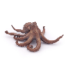 4 Figurines les Animaux Marins 10 mois et plus - Papouille