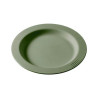 Assiette Matière Végétale ø18 cm Vert - Papouille