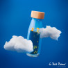 Bouteille sensorielle - Le petit prince - Papouille