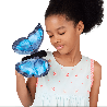 Marionnette à doigt - Papillon Morpho bleu - Papouille