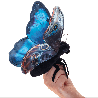 Marionnette à doigt - Papillon Morpho bleu - Papouille
