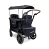 Poussette wagon 2 places L2 - 6 mois + - Papouille