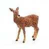 Lot de 8 figurines FERME - 10 mois+ - Papouille