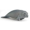 4 Figurines les Animaux Marins 10 mois et plus - Papouille