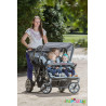 Poussette 4 places cabrio buggy - Papouille