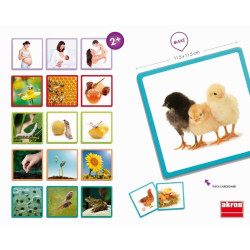 Cartes l’évolution dans la nature ( pour les enfants de 1 an - Papouille