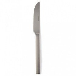 Couteau inox 21cm