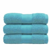 Serviette éponge 50 x 90 cm anis 100% coton 400gr - Papouille