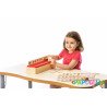 Carte d'apprentissage avec boîte de tri montessori en bois