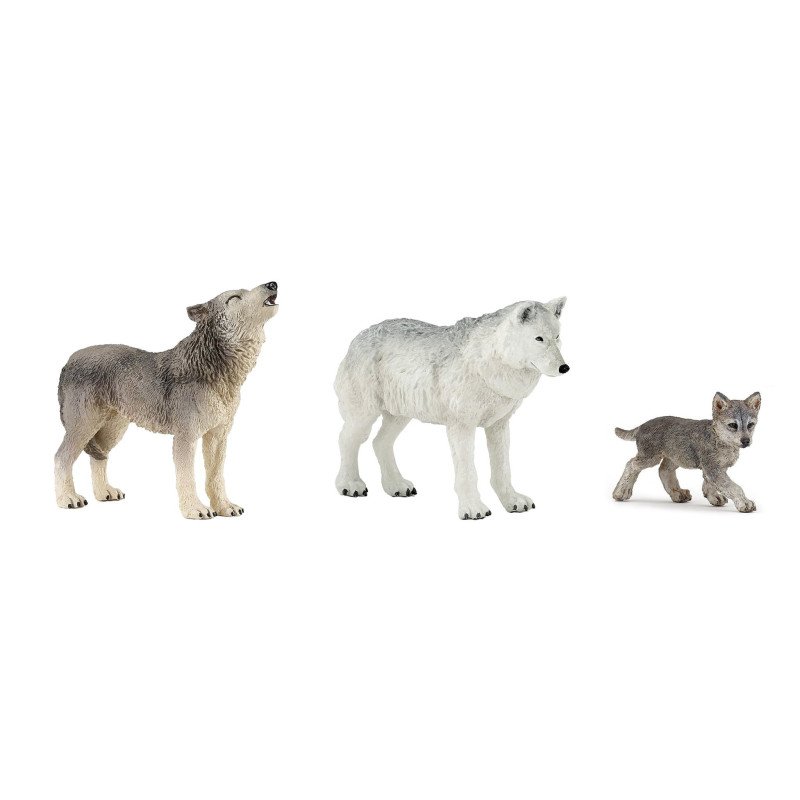 Famille de loup 10 mois et plus