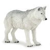 Famille de loup 10 mois et plus