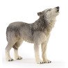 Famille de loup 10 mois et plus