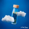 Bouteille sensorielle - Le petit prince