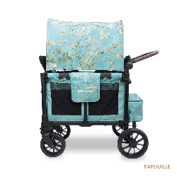 Poussette wagon 2 places - Van Gogh - 6 mois +