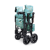 Poussette wagon 2 places - Van Gogh - 6 mois +