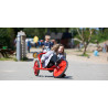 Tricycle enfant 6 à 10 ans - Papouille