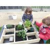 Carré potager en bois