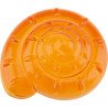 Coquillages sensoriels transparents - 36 pièces