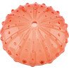 Coquillages sensoriels transparents - 36 pièces