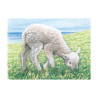Puzzle de cubes, animaux de la ferme - Papouille