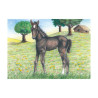 Puzzle de cubes, animaux de la ferme - Papouille