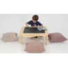 Table basse avec tableau  - Papouille