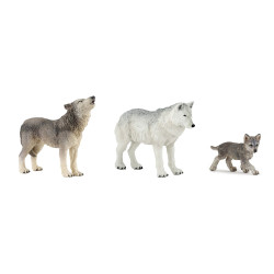 Famille de loup 10 mois et plus - Papouille