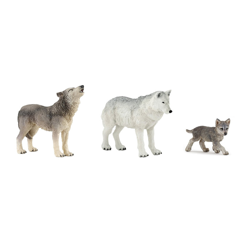 Famille de loup 10 mois et plus - Papouille