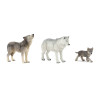 Famille de loup 10 mois et plus - Papouille