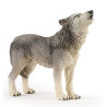 Famille de loup 10 mois et plus - Papouille