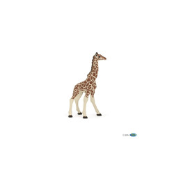 Figurine le Jeune éléphant d'afrique 10 mois et plus - Papouille
