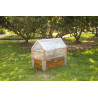 Greenhouse - Papouille
