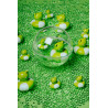 Boule sensorielle - Grenouilles  - Papouille