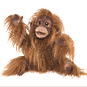 Grande marionnette - Bébé orang-outan - Papouille