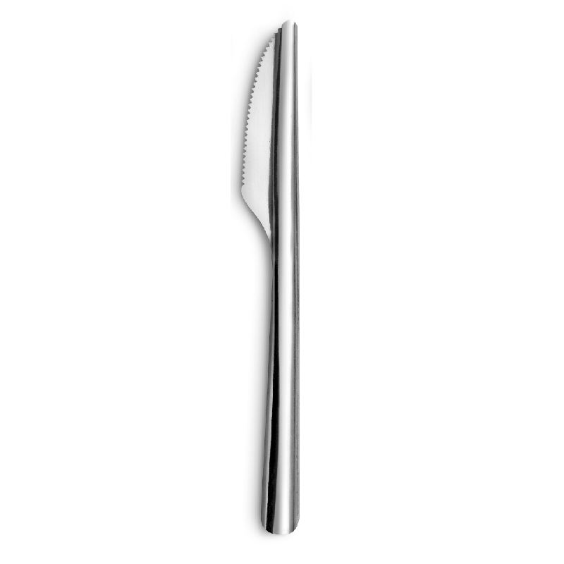 Lot de 12 couteaux an acier inoxydable  - Papouille