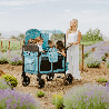 Poussette wagon 4 places - Van Gogh - 6 mois + - Papouille