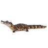 Lot de 8 figurines FERME - 10 mois+ - Papouille
