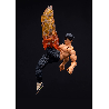Figurine Street Fighter - Fei-Long - Papouille